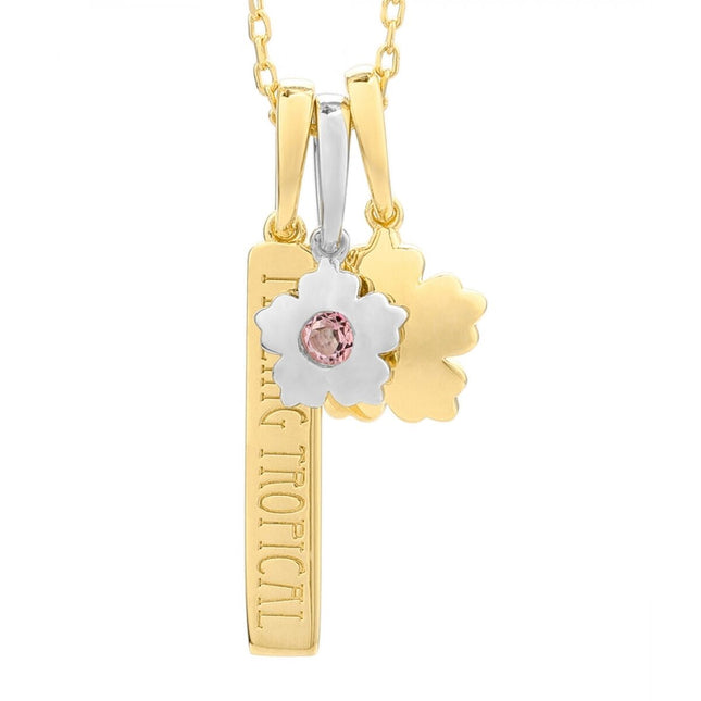 V5HE17B0EEB1AD837F086468E5A7398D74BR4060413P1