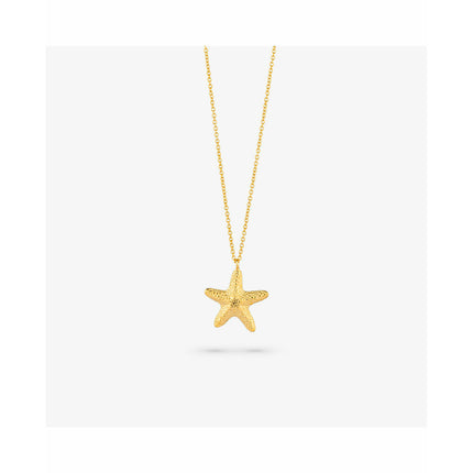 V5HD28C3528E80055B905019A4BA9B2BB0AR4243733P5