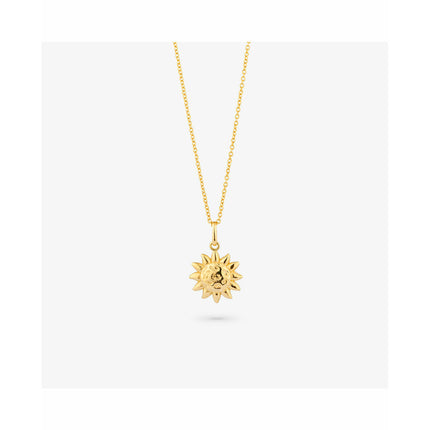 V5H99553507A25B9B73135520B2F3732077R4243705P4