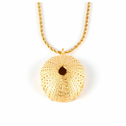 V6H9F5A25A3708F2103B5A21E47FC675F1AR4326600P1